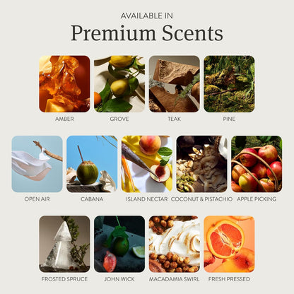Car Air Freshener - Stone Air Freshener Car Odor Eliminator - Long Lasting Scent - Auto Accessories - Metal Clip - Essential Oils - Clean Ingredients - Cabana Scent Starter Kit